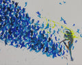 Blue  Hurriacane